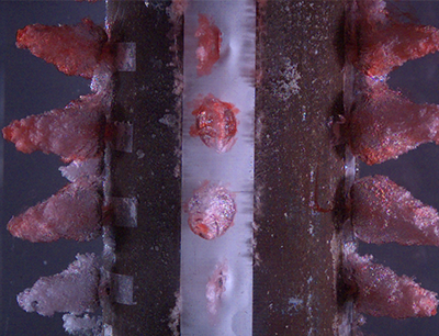 Image of combustion event