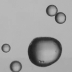 High-speed explosive imaging