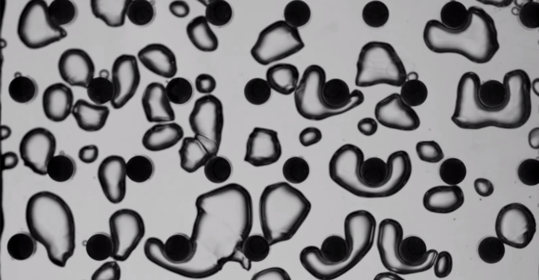 Image of Microfluidic Pin Array